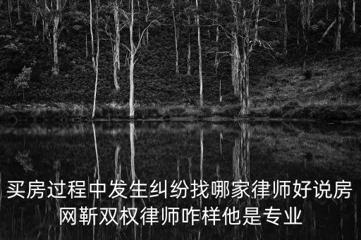 買房過程中發(fā)生糾紛找哪家律師好說房網(wǎng)靳雙權(quán)律師咋樣他是專業(yè)