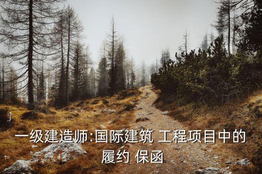 工程項目履約保函規(guī)定,關于履約保函的最新規(guī)定