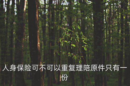 人身保險(xiǎn)可不可以重復(fù)理陪原件只有一份