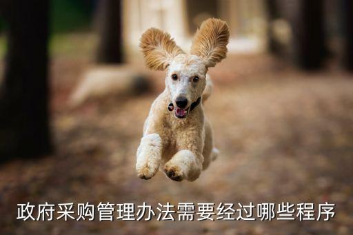 政府采購管理辦法需要經(jīng)過哪些程序