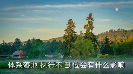 制度執(zhí)行不到位,三重一大議事決策制度執(zhí)行不到位