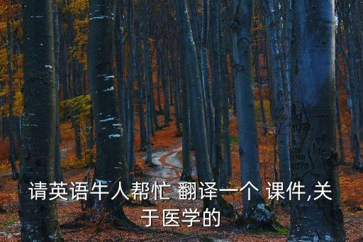 法律翻譯課件,法律英語翻譯教程pdf