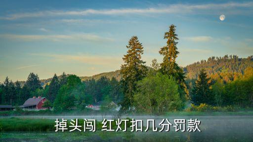 紅燈掉頭