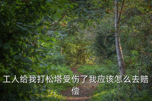 打松塔，甲方雇乙方上樹打松塔乙方受傷各承當(dāng)多少責(zé)任