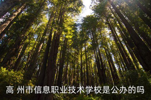 高州市教育局