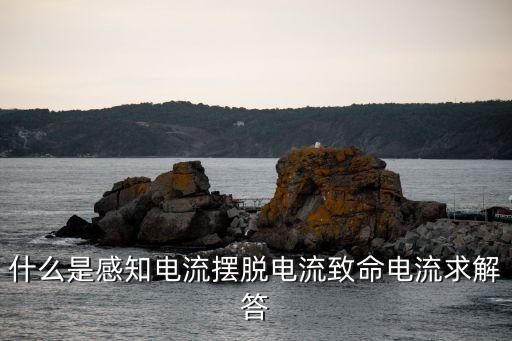擺脫電流，擺脫電流是人觸電后能自主擺脫帶電體的最大電流嗎