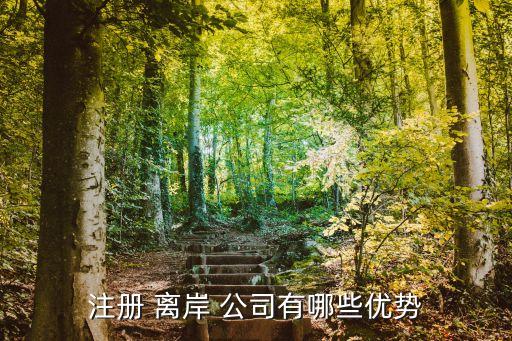 離岸公司