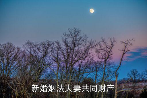 新婚姻法夫妻共同財(cái)產(chǎn)