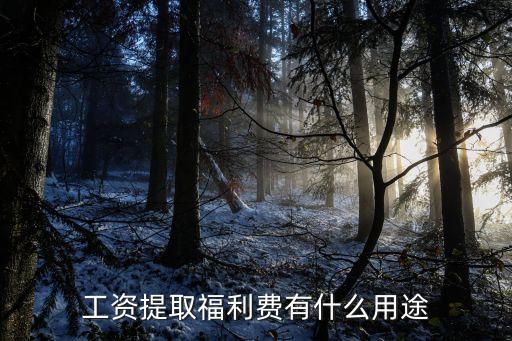 工資提取福利費(fèi)有什么用途