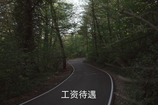 薪資待遇，工資待遇方面