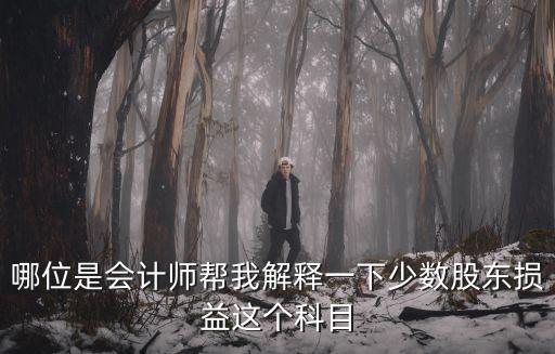 哪位是會計師幫我解釋一下少數(shù)股東損益這個科目