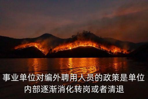 事業(yè)單位對編外聘用人員的政策是單位內(nèi)部逐漸消化轉(zhuǎn)崗或者清退