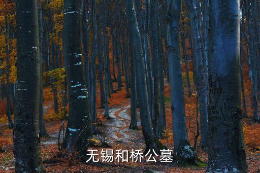 無(wú)錫公墓，無(wú)錫有哪些公墓
