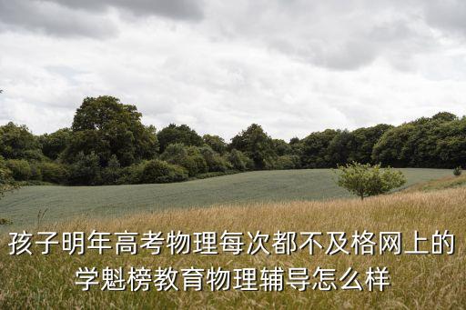 學(xué)魁，學(xué)魁榜是正規(guī)的教育機(jī)構(gòu)嗎老師教學(xué)水平怎樣
