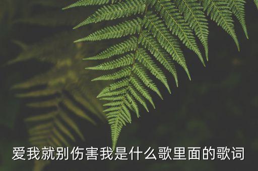 愛我請別傷害我，愛我就別傷害我是那個唱的