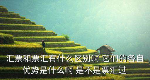 票匯，什么叫做票匯