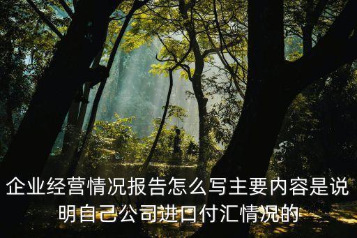 企業(yè)經(jīng)營情況報(bào)告怎么寫主要內(nèi)容是說明自己公司進(jìn)口付匯情況的