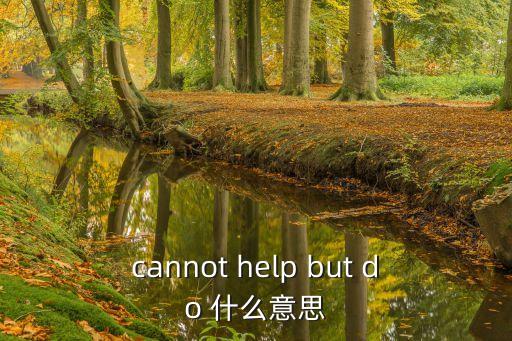 cannot help but do 什么意思