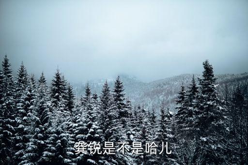 龔銳是不是哈兒