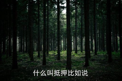 什么叫抵押比如說(shuō)