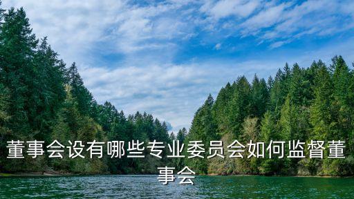 董事會(huì)設(shè)有哪些專(zhuān)業(yè)委員會(huì)如何監(jiān)督董事會(huì)