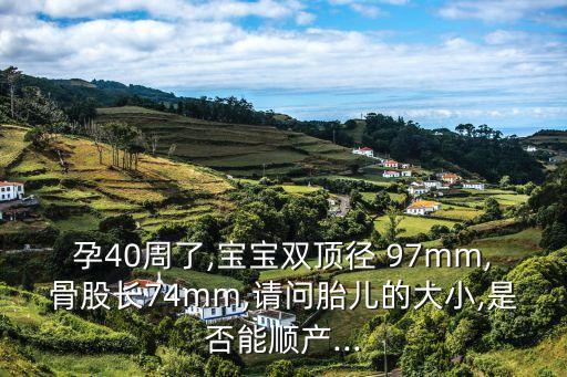97mm,鉆石荷花綠水青山硬盒97mm