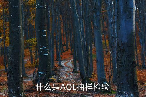 抽查檢驗(yàn)，什么是統(tǒng)計(jì)抽樣檢驗(yàn)