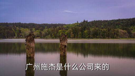 廣州施杰是什么公司來的