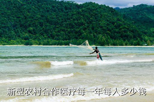 新型農(nóng)村合作醫(yī)療每一年每人多少錢