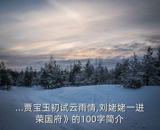 ...賈寶玉初試云雨情,劉姥姥一進榮國府》的100字簡介