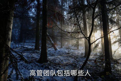 高管團(tuán)隊(duì)包括哪些人