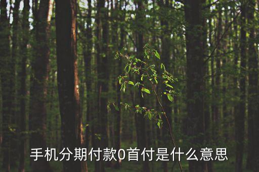 手機(jī)分期付款0首付是什么意思