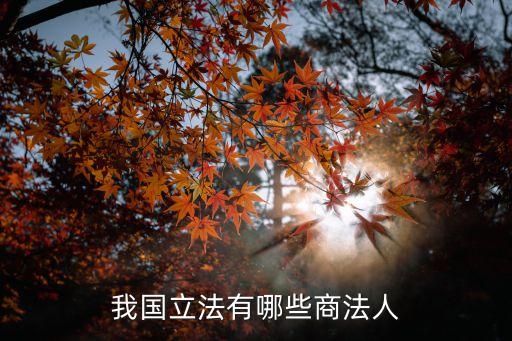 商法人，商法人與商自然人區(qū)別