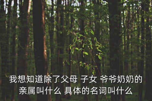 親屬關(guān)系有哪些，我想知道除了父母 子女 爺爺奶奶的親屬叫什么 具體的名詞叫什么