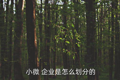 什么是小微企業(yè),滴滴出行為什么是小微企業(yè)
