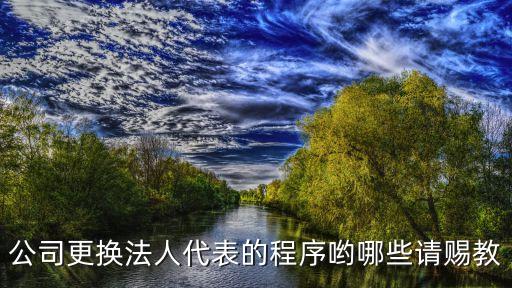 公司更換法人代表的程序喲哪些請(qǐng)賜教