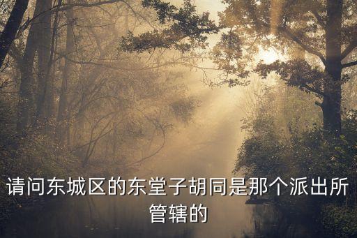 請問東城區(qū)的東堂子胡同是那個派出所管轄的