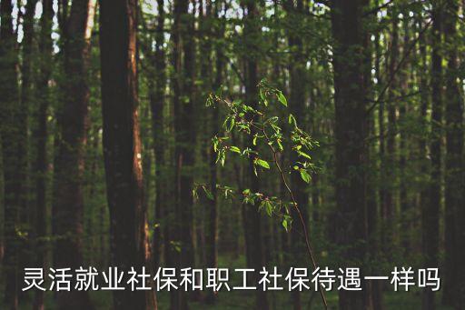 靈活就業(yè)社保和職工社保待遇一樣嗎