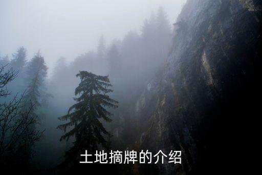 土地摘牌的介紹