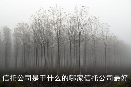 信托公司是干什么的哪家信托公司最好