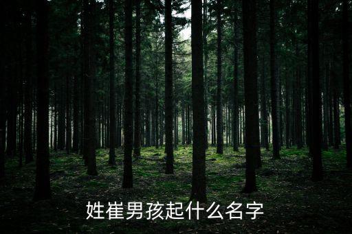 姓崔男孩起什么名字