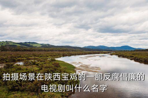 反腐倡廉的電視劇，反貪的電視劇