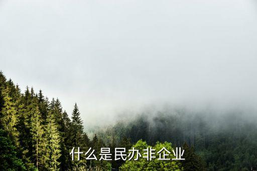 民辦非企業(yè)單位，民辦非企業(yè)單位是什么意思