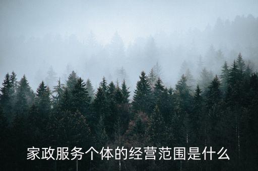 家政服務個體的經(jīng)營范圍是什么