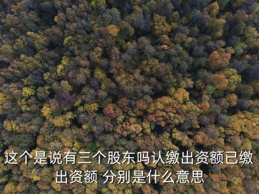 認繳出資額是什么意思，公司注冊上面認繳出資額是什么意思 就是說是不是全部交清了的還是怎