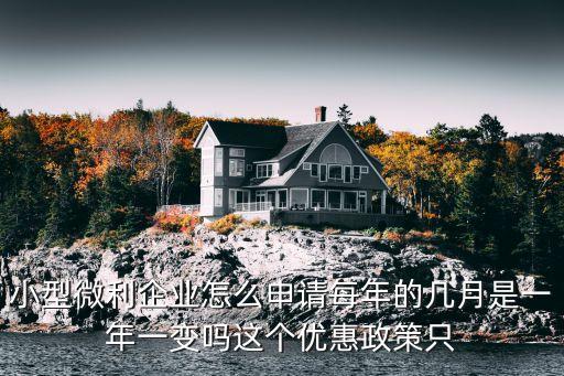 小型微利企業(yè)怎么申請每年的幾月是一年一變嗎這個優(yōu)惠政策只