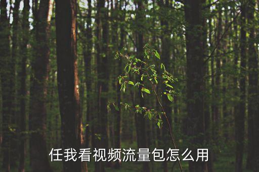 任我干在線視頻，罪孽  晚娘2  在線觀看  高清下載  電影  風行