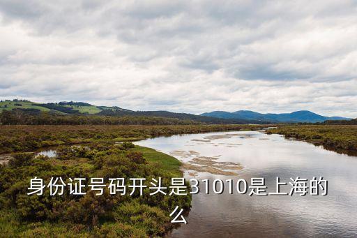 身份證號碼開頭是31010是上海的么