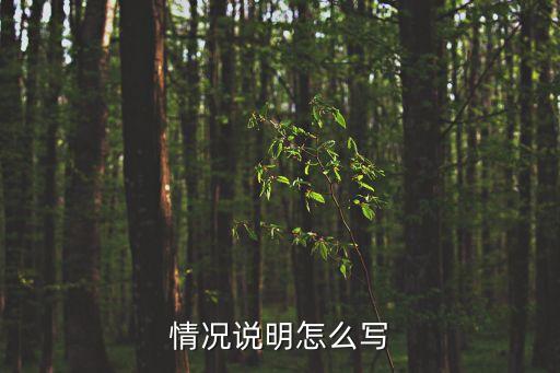 情況說(shuō)明怎么寫(xiě)