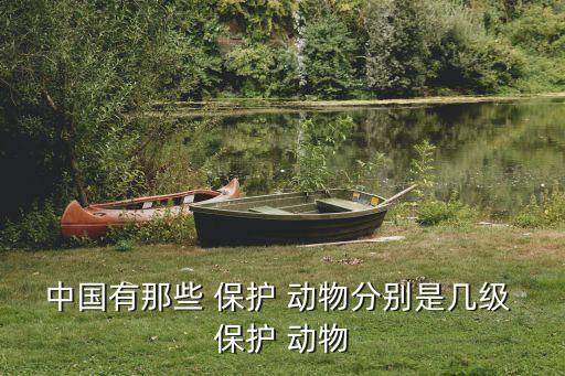 國(guó)家三級(jí)保護(hù)動(dòng)物